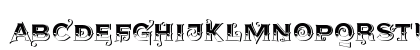 AgreloyS1 Medium Uppercase Preview
