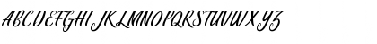 Berlin Script Regular Font