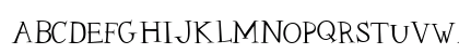 CK Nitelite Regular Preview