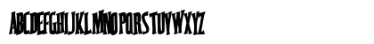 CoastWise67 Bold Preview