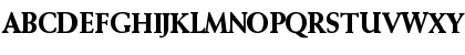 W690-Roman Bold Font