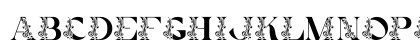 Decorative Quality Regular Uppercase Preview