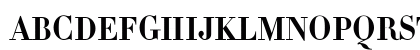 Didot Bold Preview
