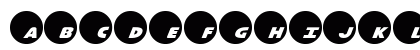 Dot.com Regular Preview