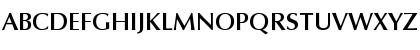 OptimaBold-Demi Demi Font