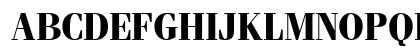 Fenice Bold Preview