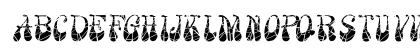 FZ JAZZY 17 CRACKED ITALIC Normal Preview