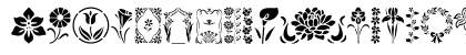 GE Floral Stencils Regular Preview