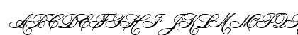HeddyOpti-Script Script Uppercase Preview