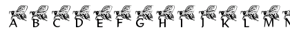 New Regular Uppercase Preview