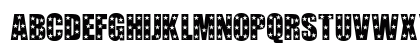 Hollywood Regular Preview