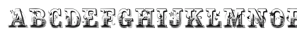 Holtzauer Plain Preview
