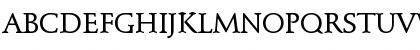 SchneidlerMedDCDMed Regular Font