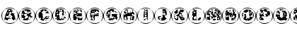 SwissCheeseCircles02 Regular Font