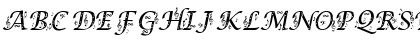 Lucida Calligraphy Italic Font