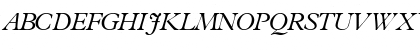 TerminusLightSSK Italic Font