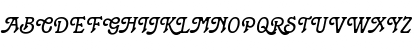 TerraNarrow Italic Font