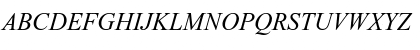 Times New Roman Mon Italic Font