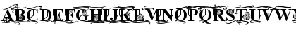 Times Old Attic Bold Font