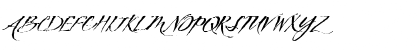 TXT Delicate Script Regular Font