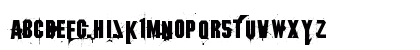 1 Regular Preview