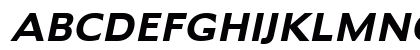 Adams Bold Italic Preview