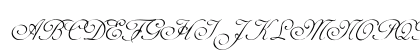AdineKirnberg-Script Regular Preview