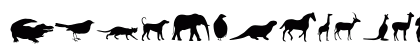 Animals Regular Preview