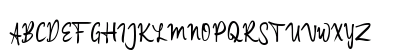 a Applicant Signature Regular Uppercase Preview