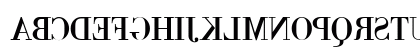BackBod Normal Preview