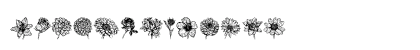 Blumen Regular Uppercase Preview