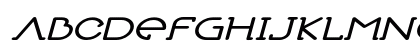 Book Reader Expanded Italic Preview