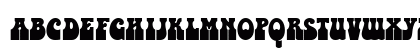BottleneckD Regular Preview