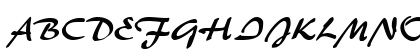 BrushFlash Regular Preview