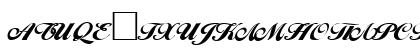 C_Hispid Normal Uppercase Preview