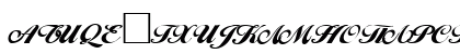 C_Hispid Normal Uppercase Preview