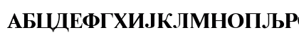 C_Times_Duch Bold Uppercase Preview