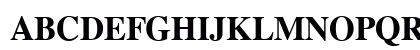 CG Times Bold Uppercase Preview