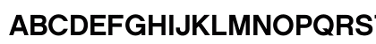Chalet NewYorkNineteenSixty Uppercase Preview