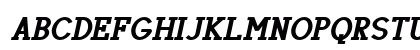 Chamomile Bold Italic Preview