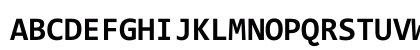 CodeNewRoman NF Bold Uppercase Preview
