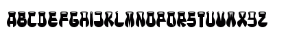 CotoCity Bold Preview