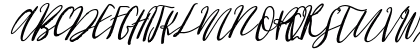Cottage Gardens Bold Italic Preview