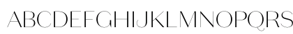 Copyright Klim Type Foundry Not Licensed for Desktop Use Preview