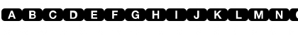 DeutscheBahnAG Regular Font