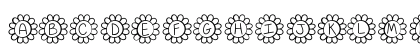 FlowerPower Medium Preview