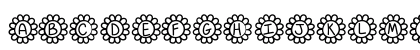 FlowerPower Medium Preview
