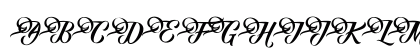 Fundamental 1.0 Regular Preview