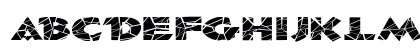 FZ JAZZY 32 CRACKED EX Normal Preview