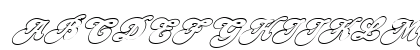 FZ JAZZY 49 HOLLOW ITALIC Normal Preview